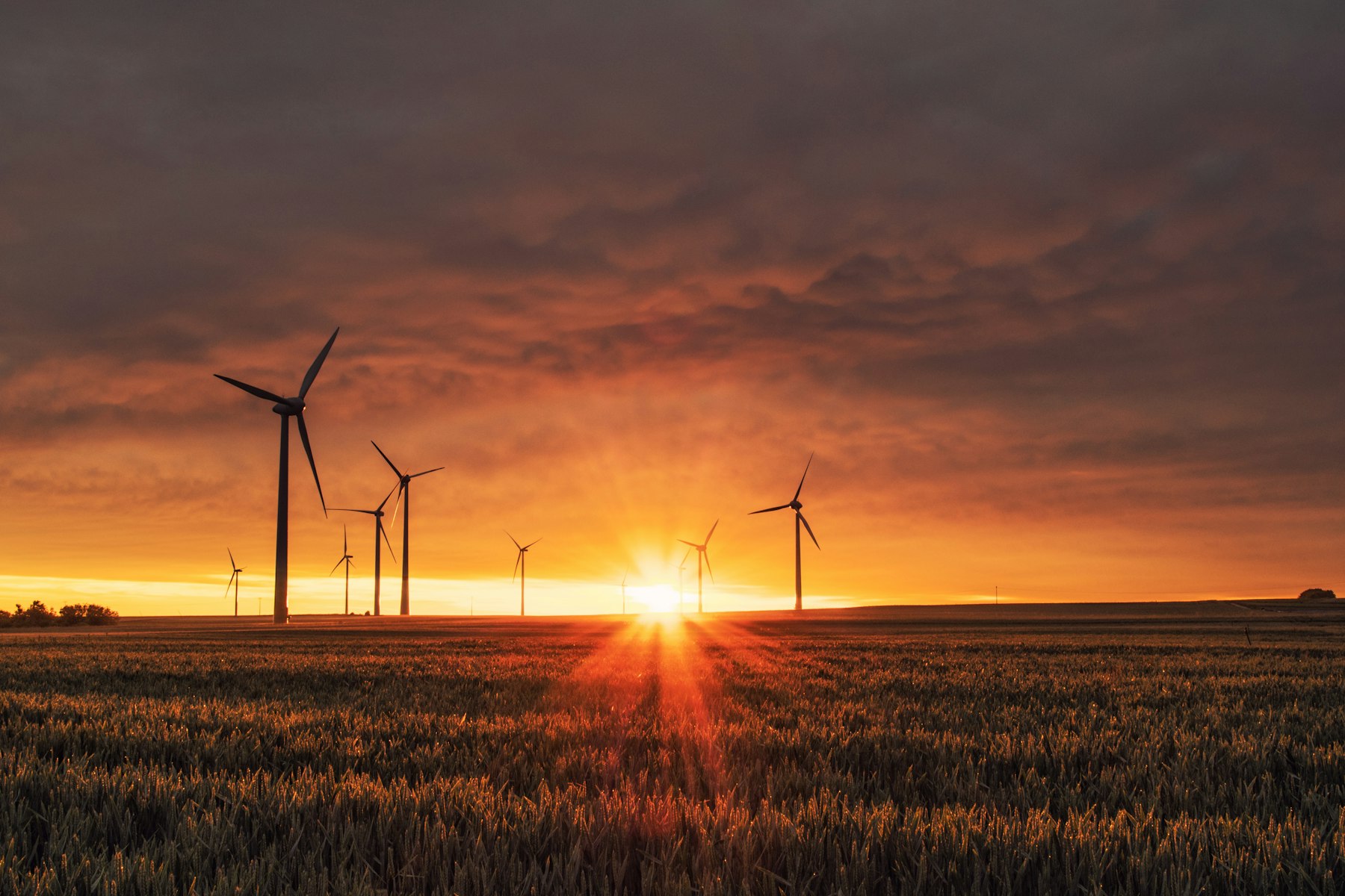 Solarpark Vogelperspektive